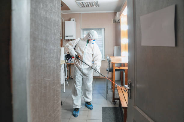 Dehumidification Services in Rainbow, CA