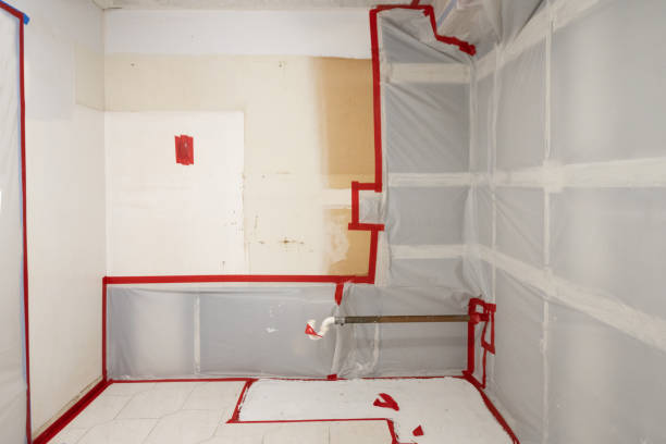 Best Real Estate Mold Inspection  in Rainbow, CA