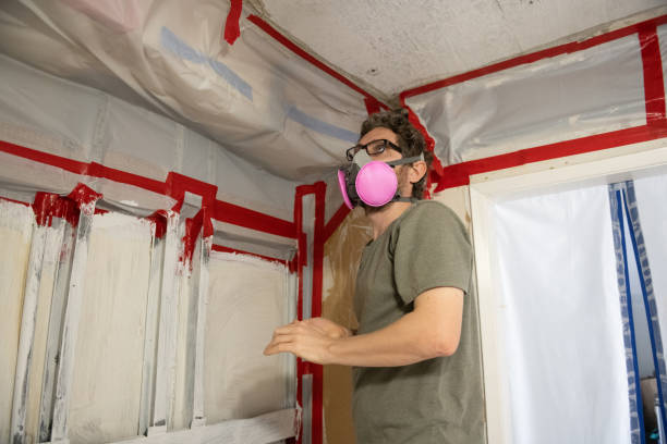 Best Post-Remediation Verification Testing  in Rainbow, CA