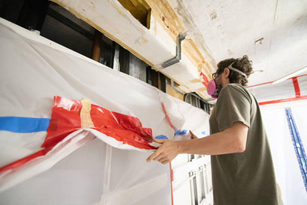 Best Attic Mold Removal  in Rainbow, CA