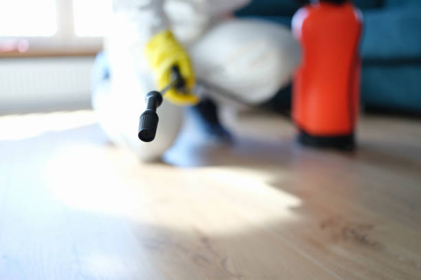 Best Mold Remediation for Healthcare Facilities  in Rainbow, CA